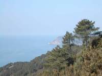 Alpinismo (498), Appennino (42), le_cinque_terre (5)