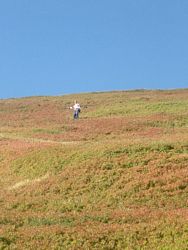 Appennino (42), Escursionismo (35), Montalbano (15), Romano S (6)