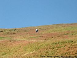 Appennino (42), Escursionismo (35), Montalbano (15), Romano S (6)