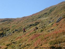 Appennino (42), Escursionismo (35), Famiglia (61), Grazia B (42), Montalbano (15)