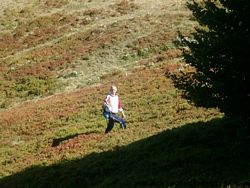 Appennino (42), Escursionismo (35), Montalbano (15), Romano S (6)