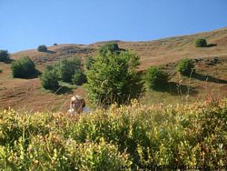 Appennino (42), Escursionismo (35), Famiglia (61), Grazia B (42), Montalbano (15)