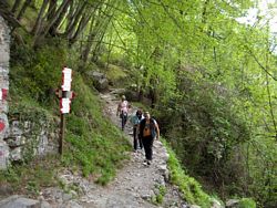 Tornando per la foto di gruppo